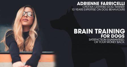 Brain Training for Dogs-Truth Revealed Adrienne Farricelli