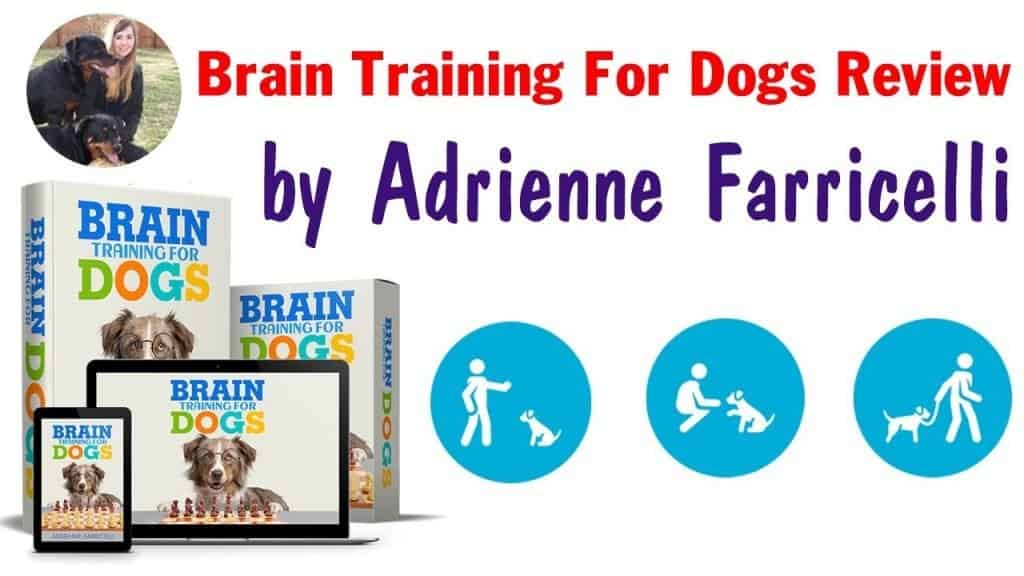 Brain Training for Dogs Review: Improve Your Dog’s IQ