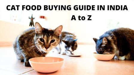 CAT FOOD BUYING GUIDE IN INDIA