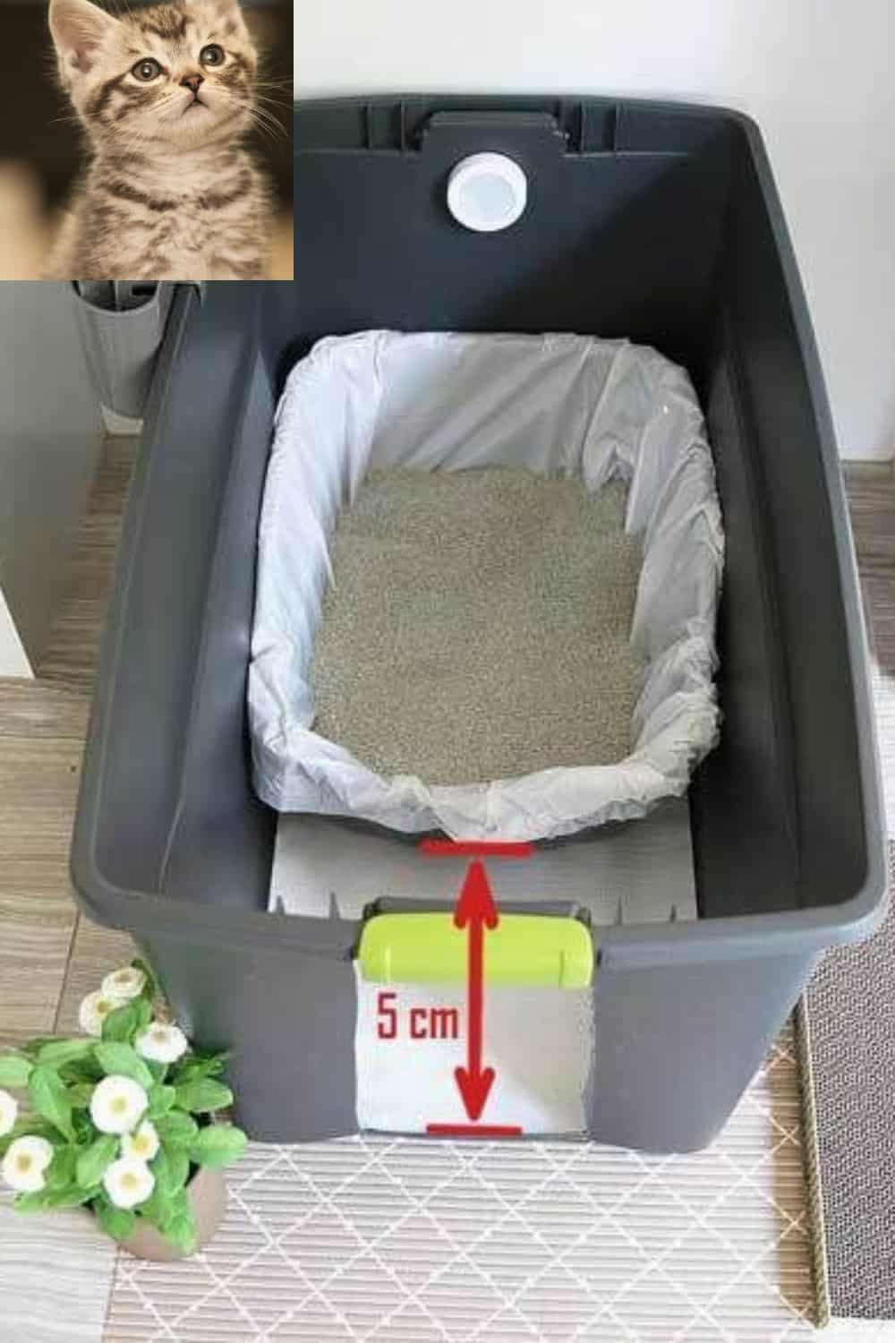 Best Cat Litter in India| Finding the Right Litter Box for Cats Cat Litter Sand Box pinterest