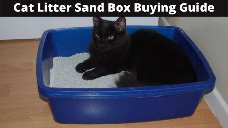 Cat Litter Sand Box