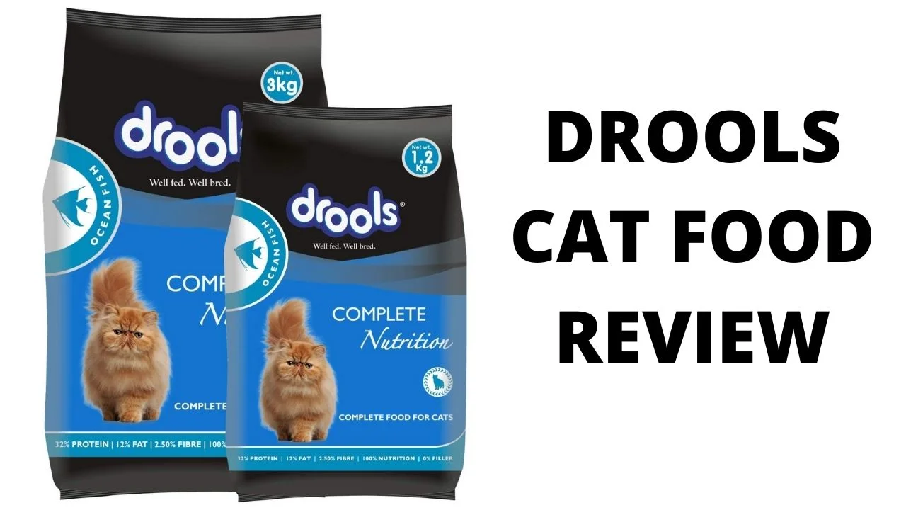 Drools cat food review