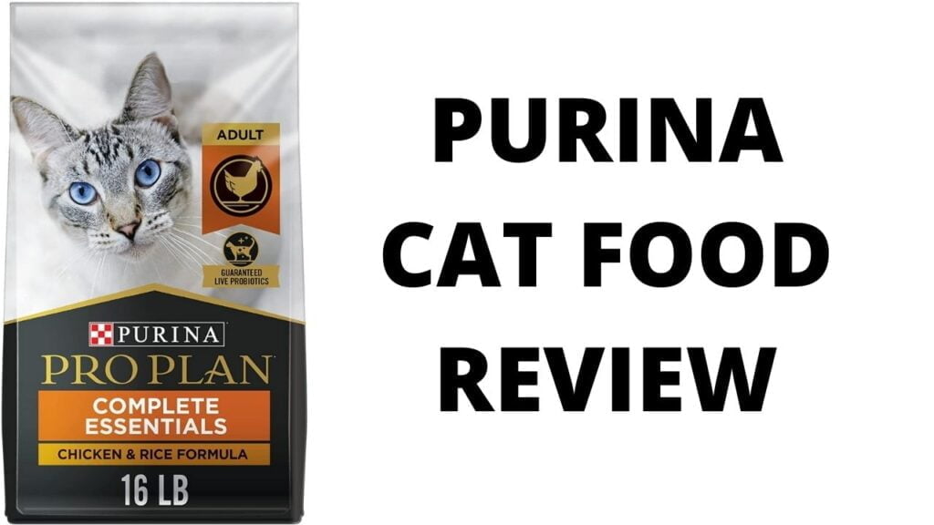 Purina Cat Food Review