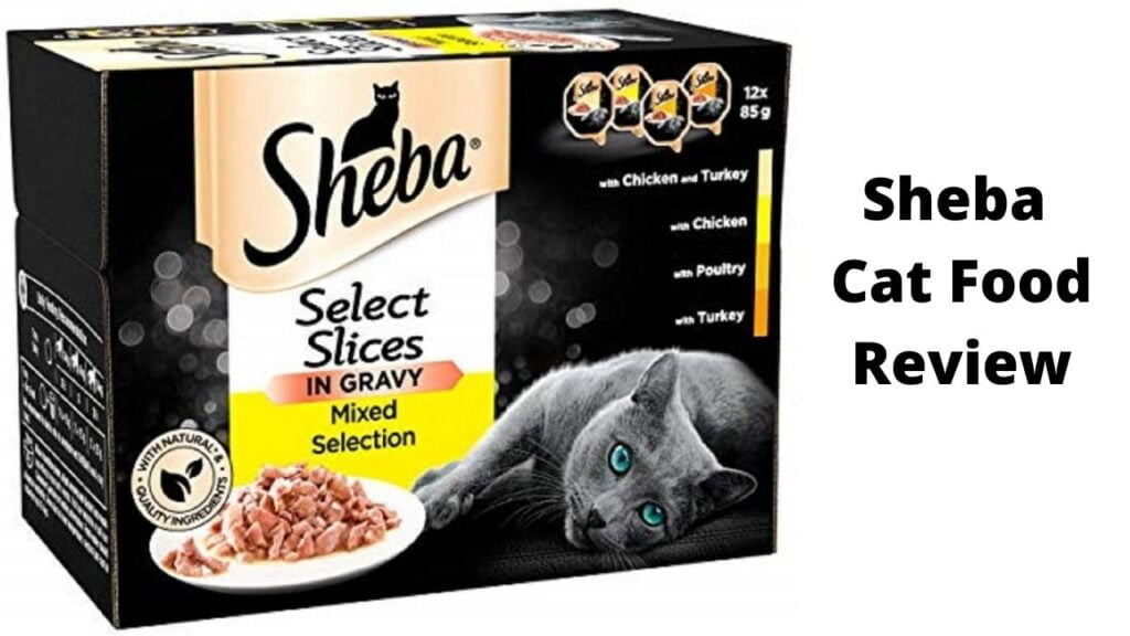 Sheba cat food review