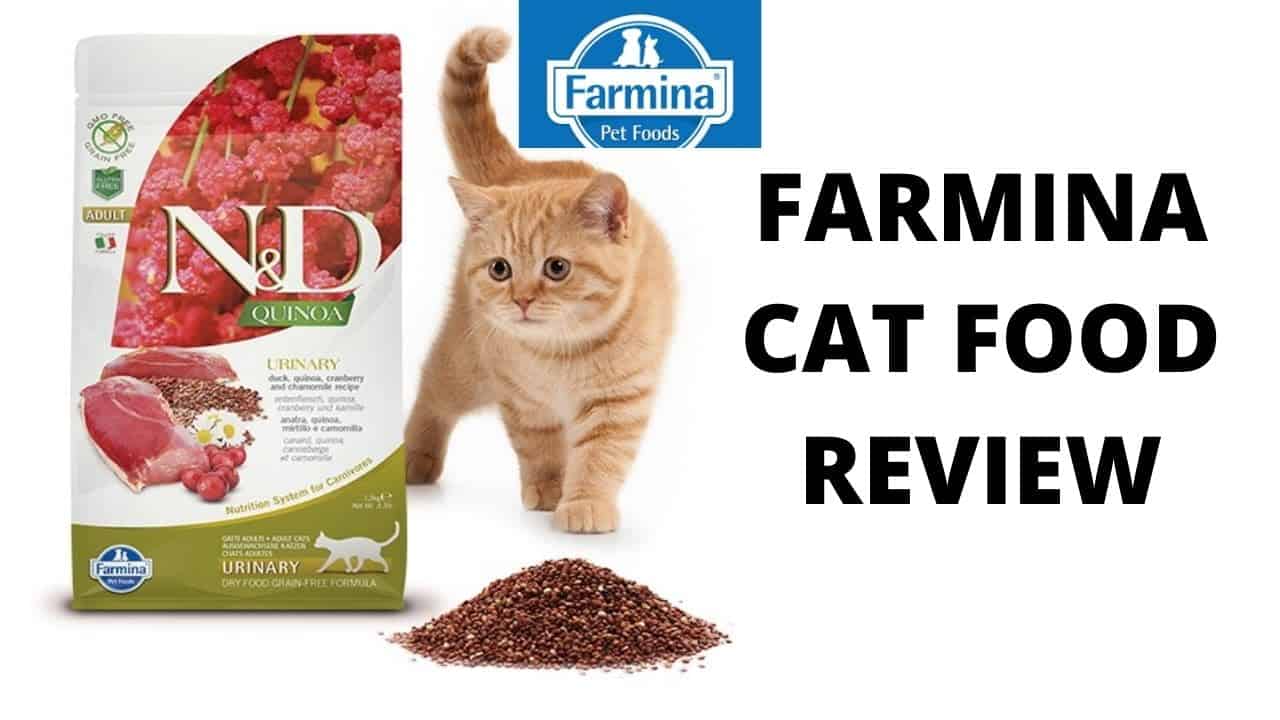 Farmina Matisse: The Best Cat Food? Farmina Cat food review