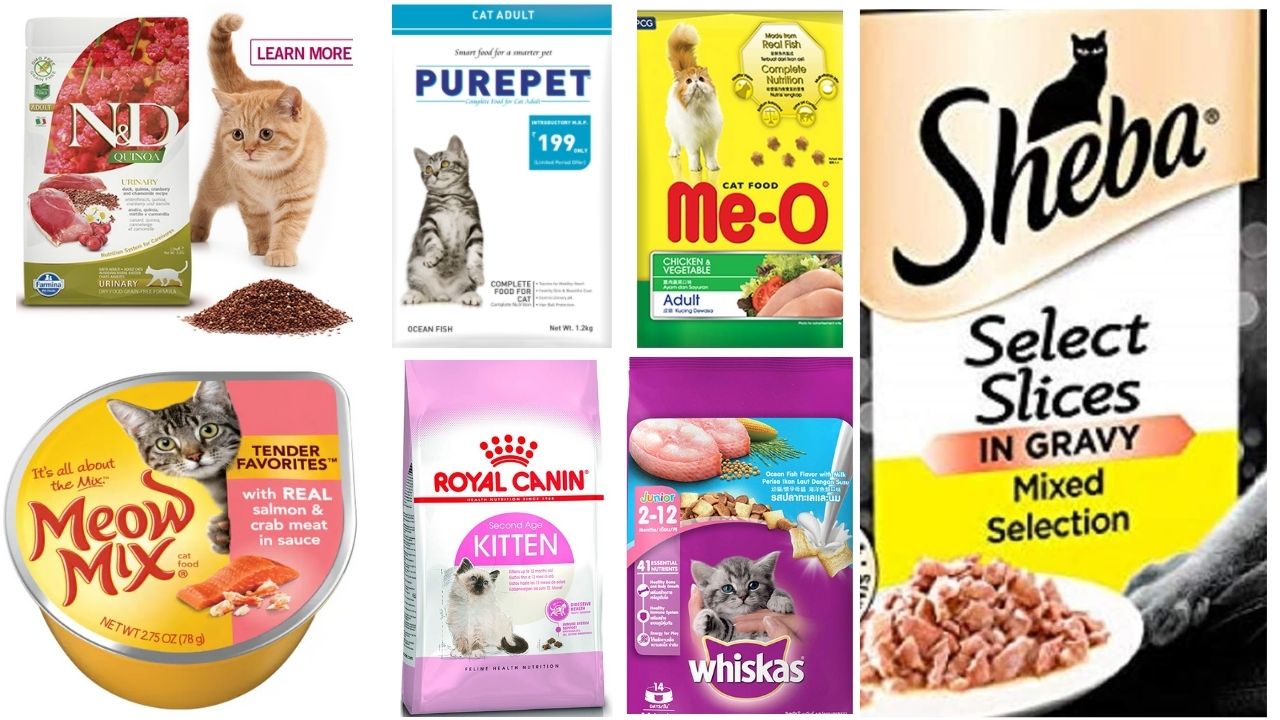 Top 10 Best Cat Food Brands In Malaysia 2023 (Dry Wet ...