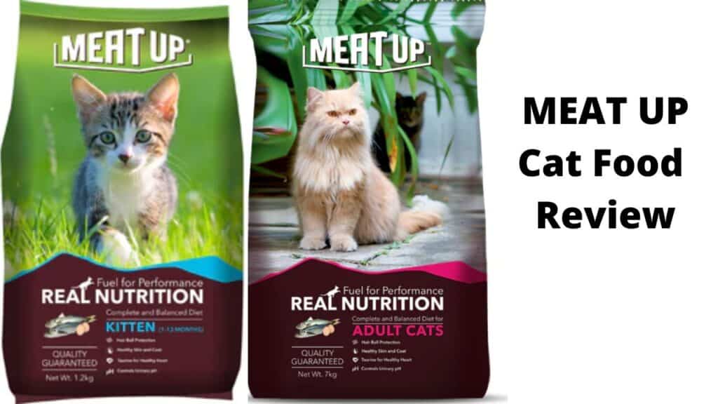 Meat Up Cat Food Review, Ingredients, and More 1 MEAT UP Cat Food Review