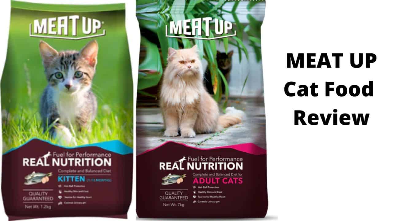 MEAT UP Cat Food Review
