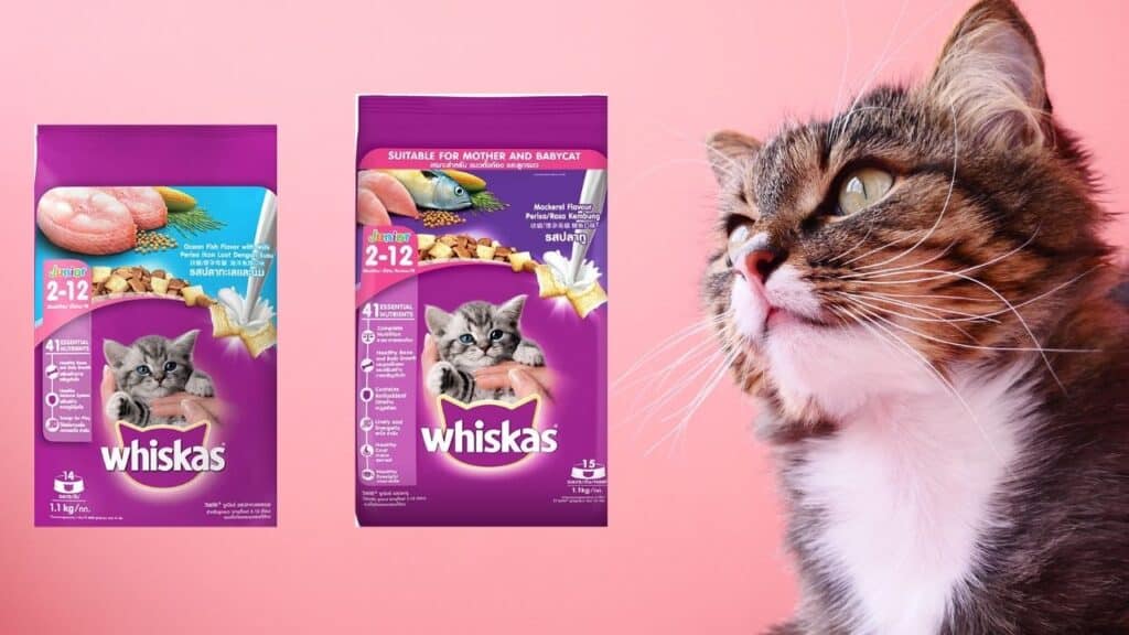 Whiskas Cat Food review