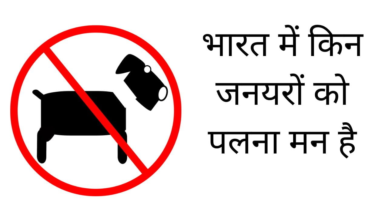 भारत में किन पालतू जानवरों की अनुमति नहीं है?