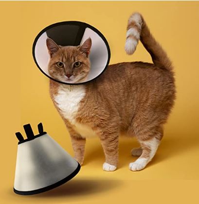 Best e-collar for cats in India cat e collar