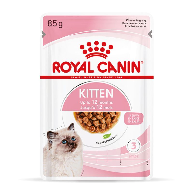 Best Food for Persian Cats in India royal canin persian Kitten food