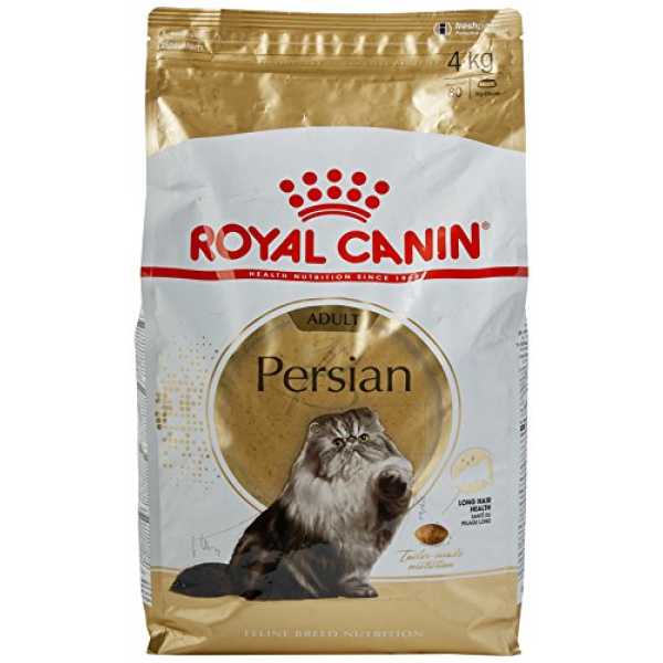 royal canin persian cat food