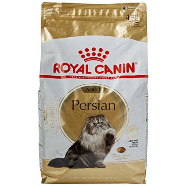 Best Food for Persian Cats in India royal canin persian cat food
