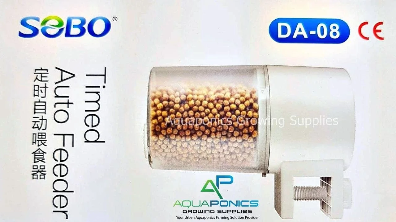 Best Automatic Fish Feeder For Aquariums in India