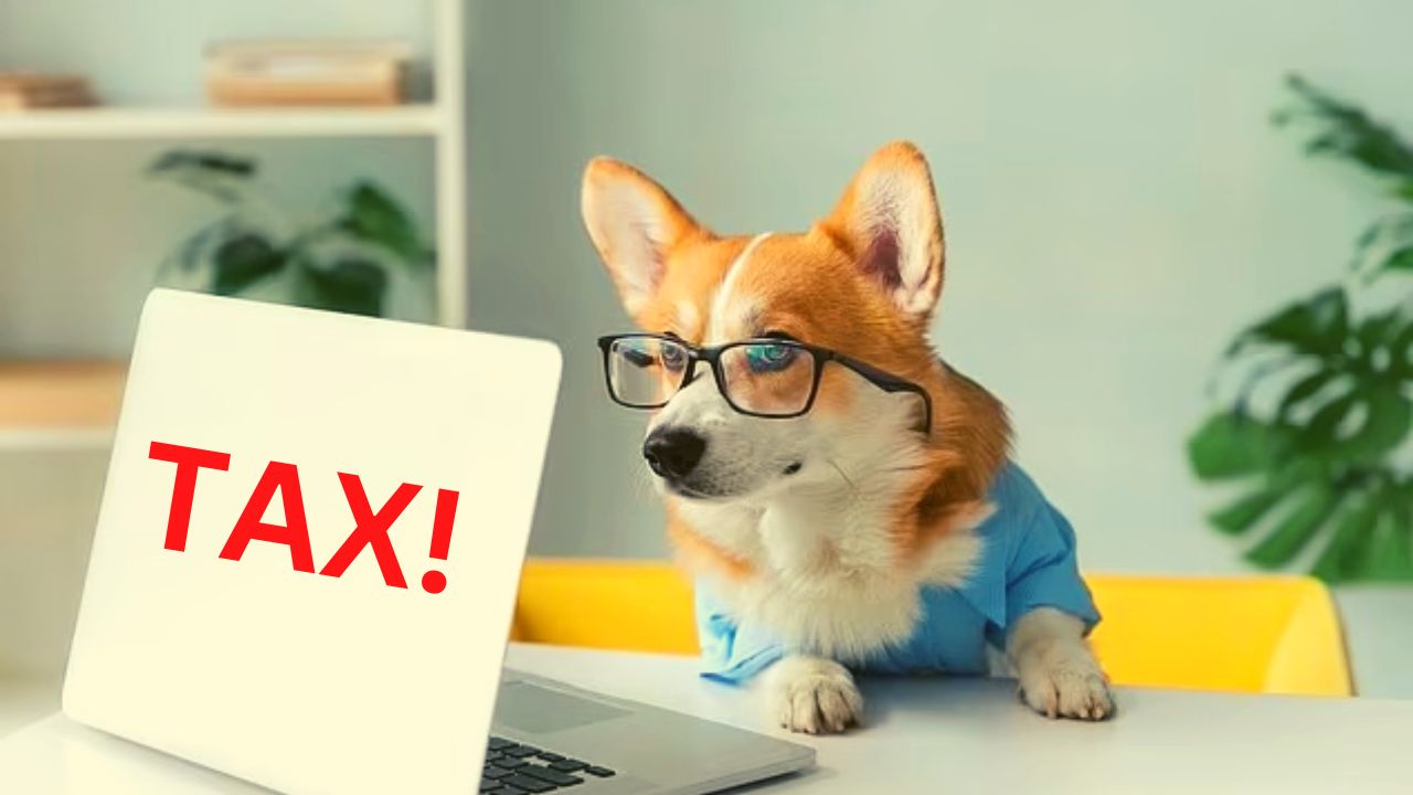 Madhya Pradesh Government Will Now Tax Pet Dog Owners Madhya Pradesh Government Will Now Tax Pet Dog Owners
