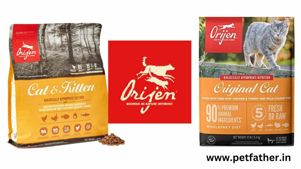 Orijen Cat Food Finally A Genuine Good One? (Updated 2024) By Petfather