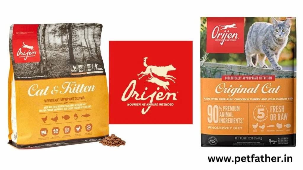 Orijen Cat Food Finally A Genuine Good One? (Updated 2024) By Petfather
