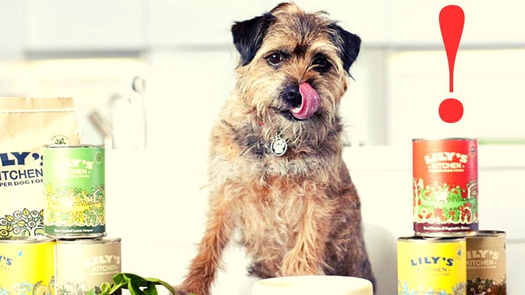 Lily’s Kitchen is Recalling a Batch of Pet Food as They May Contain Pieces of Plastic