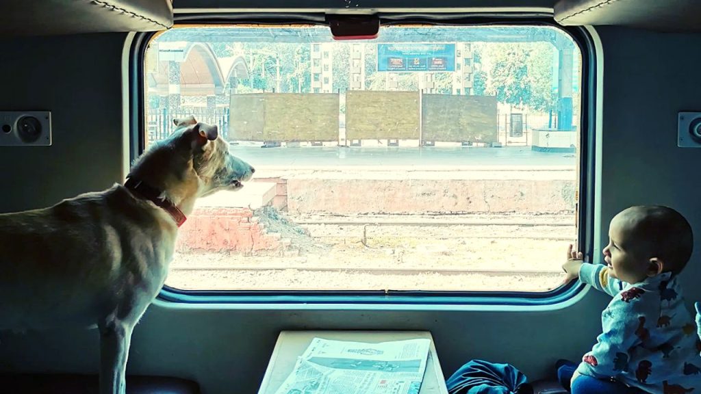 Travelling with Pets on Indian Railways Complete Guideline (1)