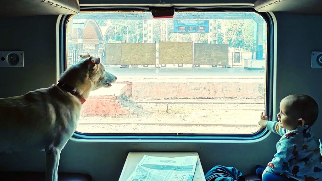 A Guide To Travelling With Pets On Indian Railways (Updated 2024)