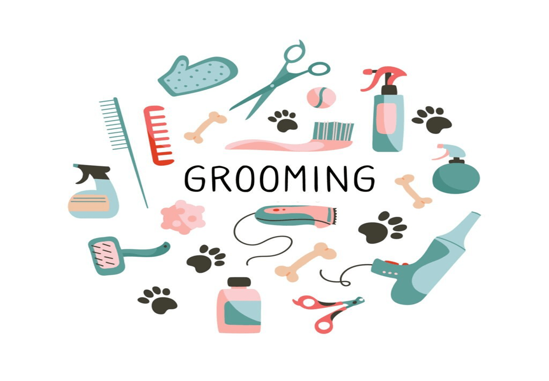 From Beginner to Pro: The Benefits of Online Dog Grooming Courses