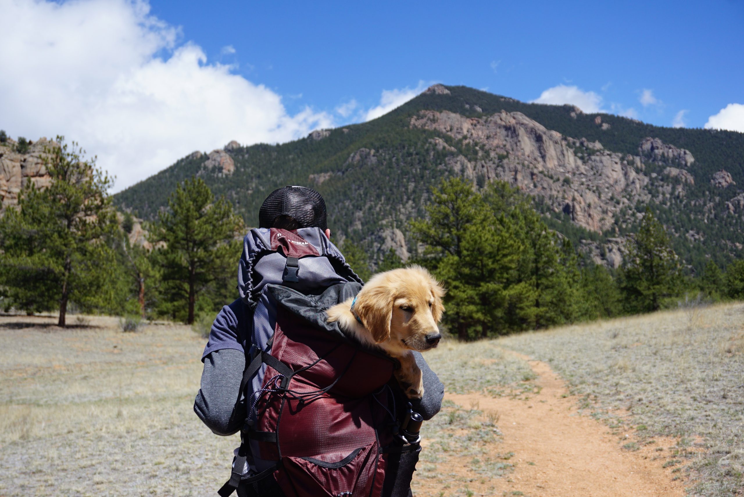 PetSmart Arcadia Trail Summer Bucket List Contest: 10 Free Road Trips For Dogs and Their Owners PetSmart Arcadia Trail Summer Bucket List Contest: 10 Free Road Trips For Dogs and Their Owners
