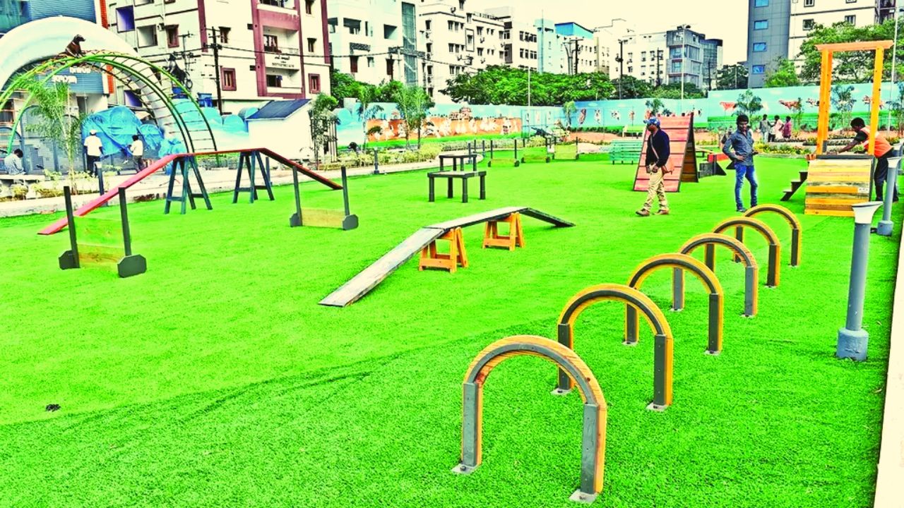 पालतू-कुत्तों-के-लिए-सेक्टर-137-में-नोएडा-प्राधिकरण-ने-तैयार-किया-डॉग-पार्क-Dog-park-at-Noida