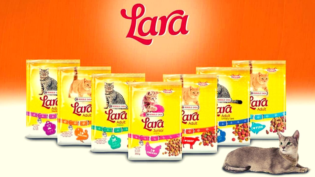 Lara Cat and Kitten Food Review