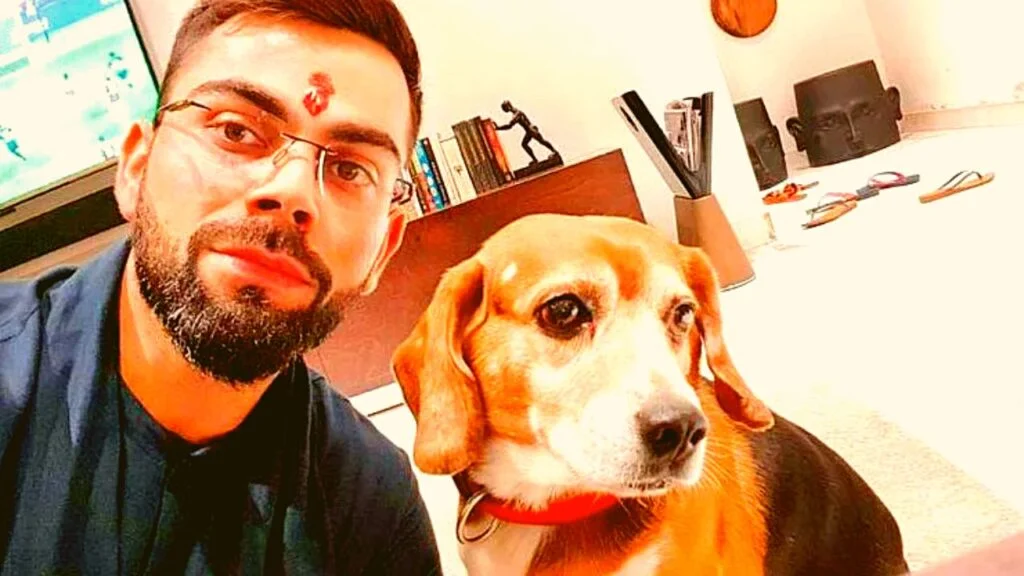 Virat Kohli's Pets King Kohli and His Love For Dogs