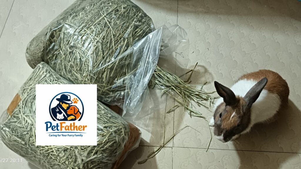 Homepage: Welcome to Petfather, Your Trustable Pet Guide Timothy Hay 1 Kg Petfather Kolkata West Bengal